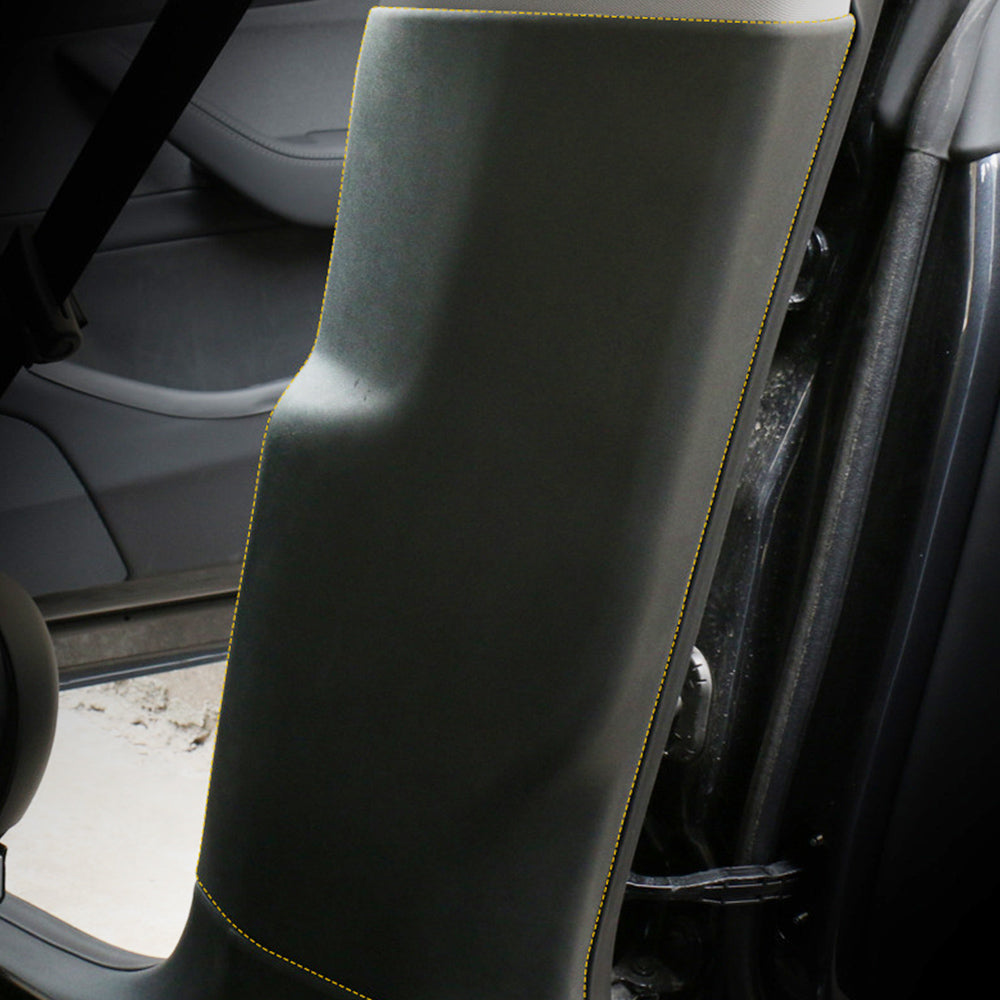 tesla interor guards