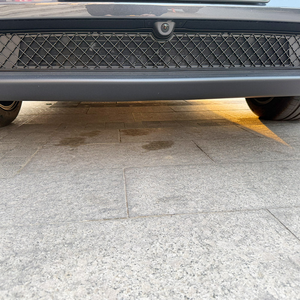car grille bug screen