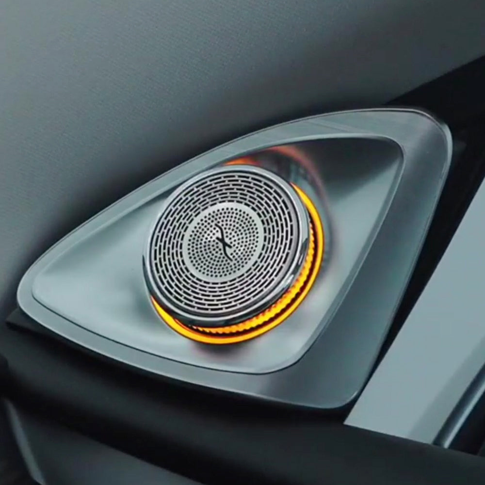 speaker