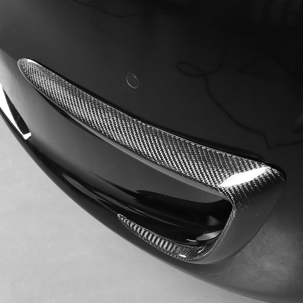 all carbon fiber tesla