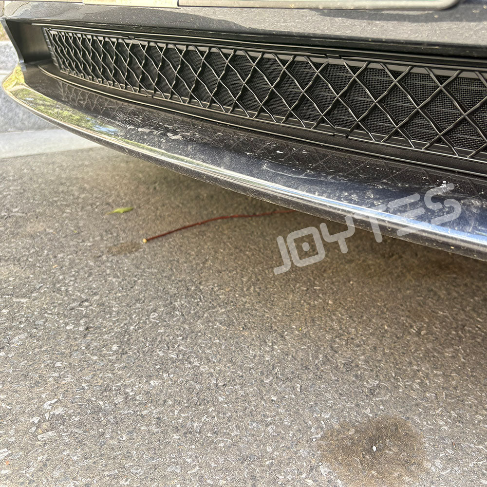 car front bumper insect screen