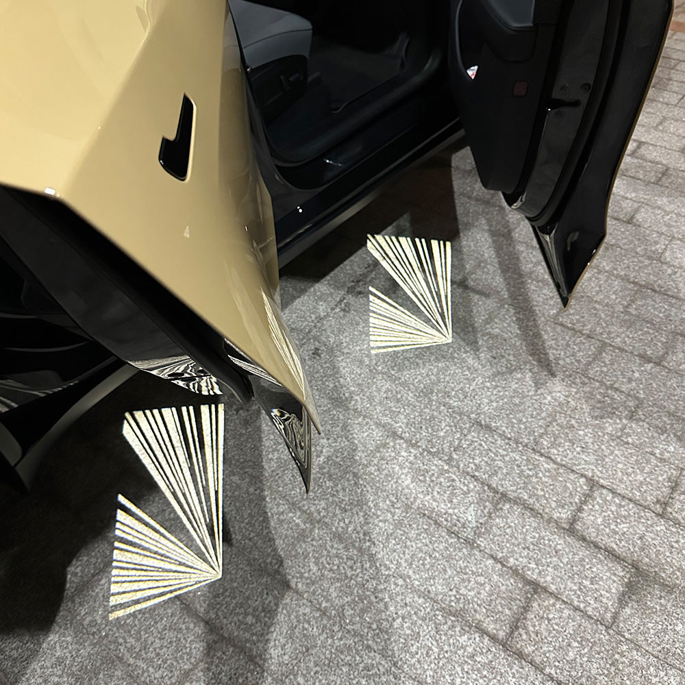 tesla door ground light