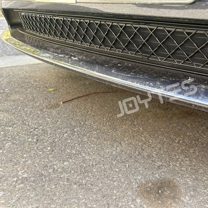 car front bumper insect screen